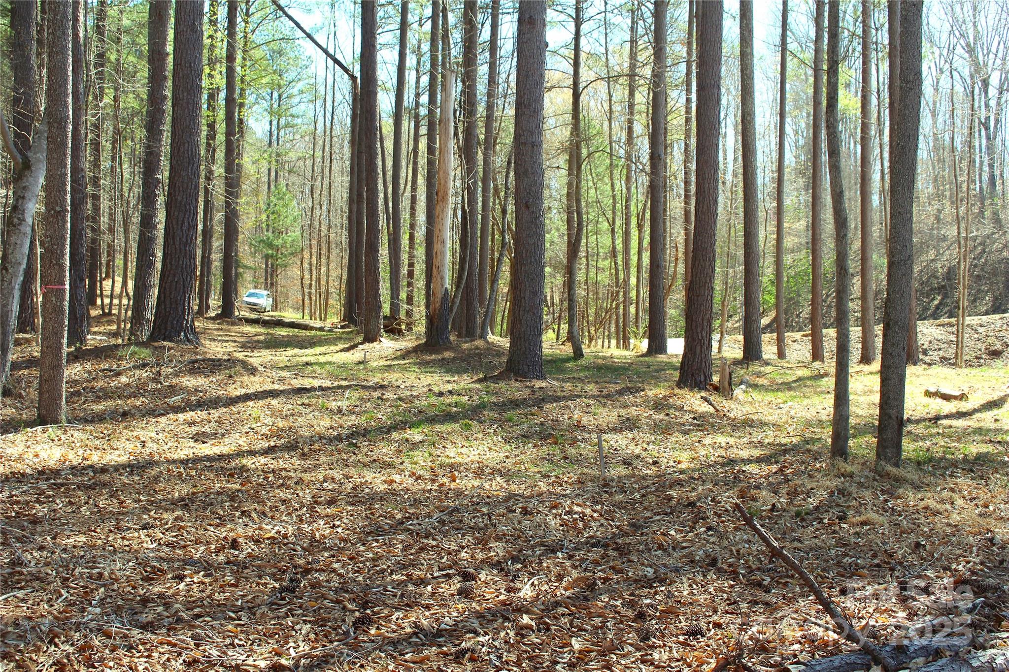 133 Dockside Lane Statesville, NC 28677 - Photo 12 of 15