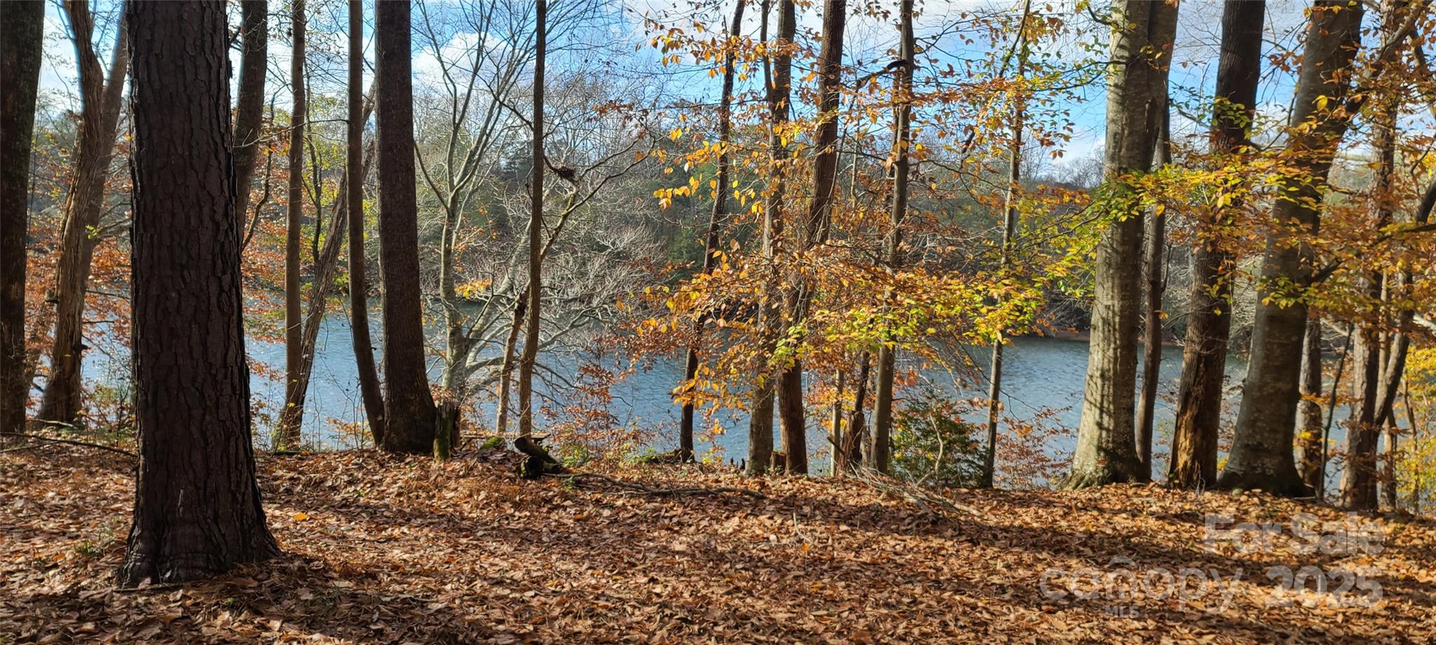 133 Dockside Lane Statesville, NC 28677 - Photo 6 of 15