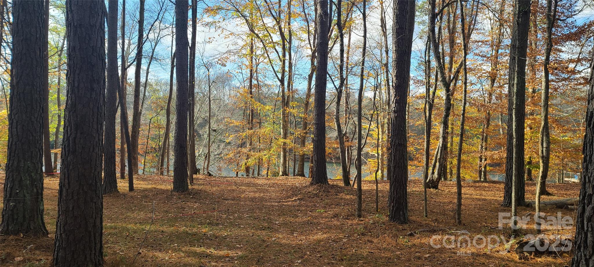 133 Dockside Lane Statesville, NC 28677 - Photo 7 of 15