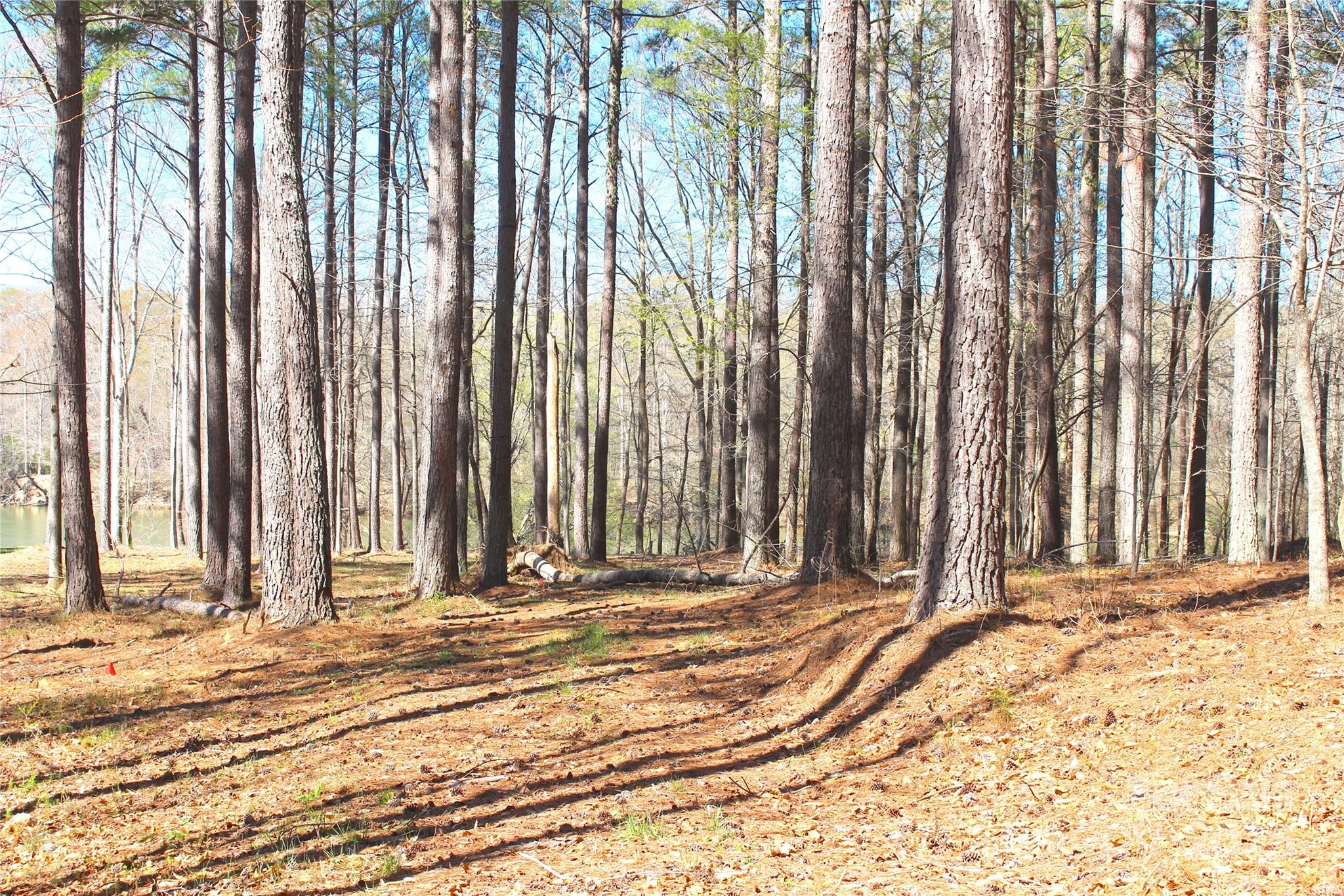 133 Dockside Lane Statesville, NC 28677 - Photo 10 of 15