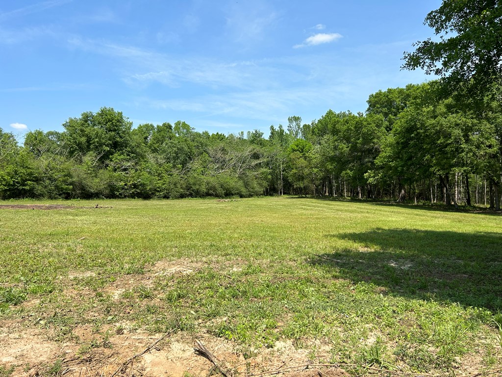 4.04 Cty Road Slocomb, AL 36375 - Photo 8 of 36