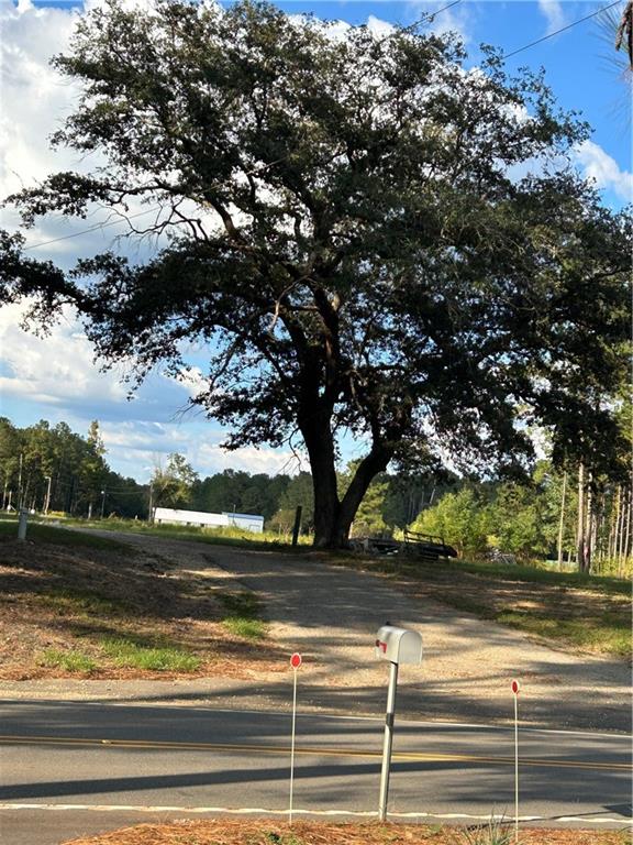 0 Magee Road Folsom, LA 70437 - Photo 3 of 18