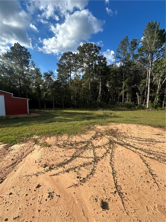 0 Magee Road Folsom, LA 70437 - Photo 8 of 18