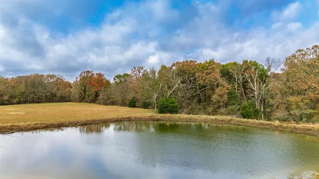a view of a lake with a mountain