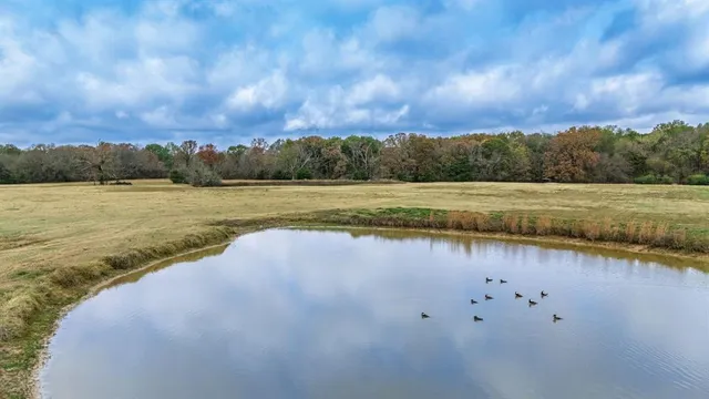 a view of an ocean and beach