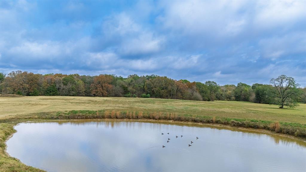 154 St Cooper Tx 75432 Cooper, TX 75432 - Photo 5 of 33 a view of an lake and a yard