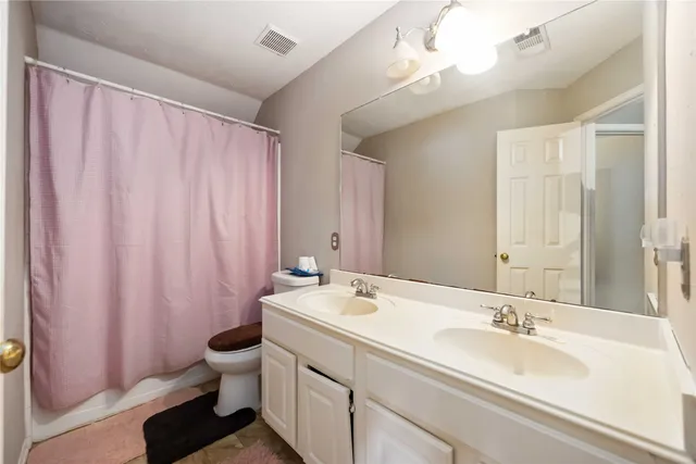 a bathroom with a sink a toilet and shower curtain