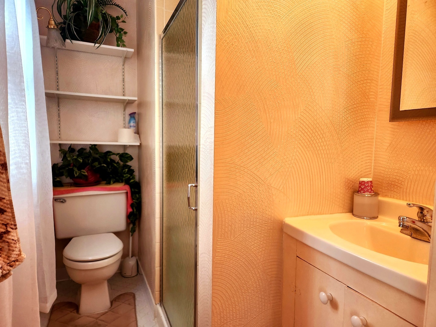 1095 South Prospect Avenue Elmhurst, IL 60126 - Photo 27 of 54 a bathroom with a toilet and a sink