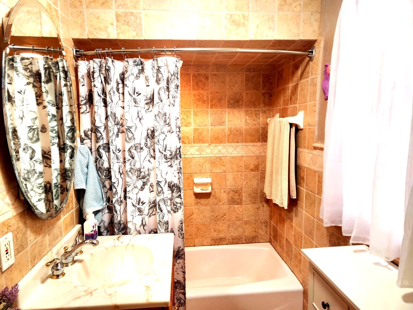 1095 South Prospect Avenue Elmhurst, IL 60126 - Photo 31 of 54 a bathroom with a sink and a mirror
