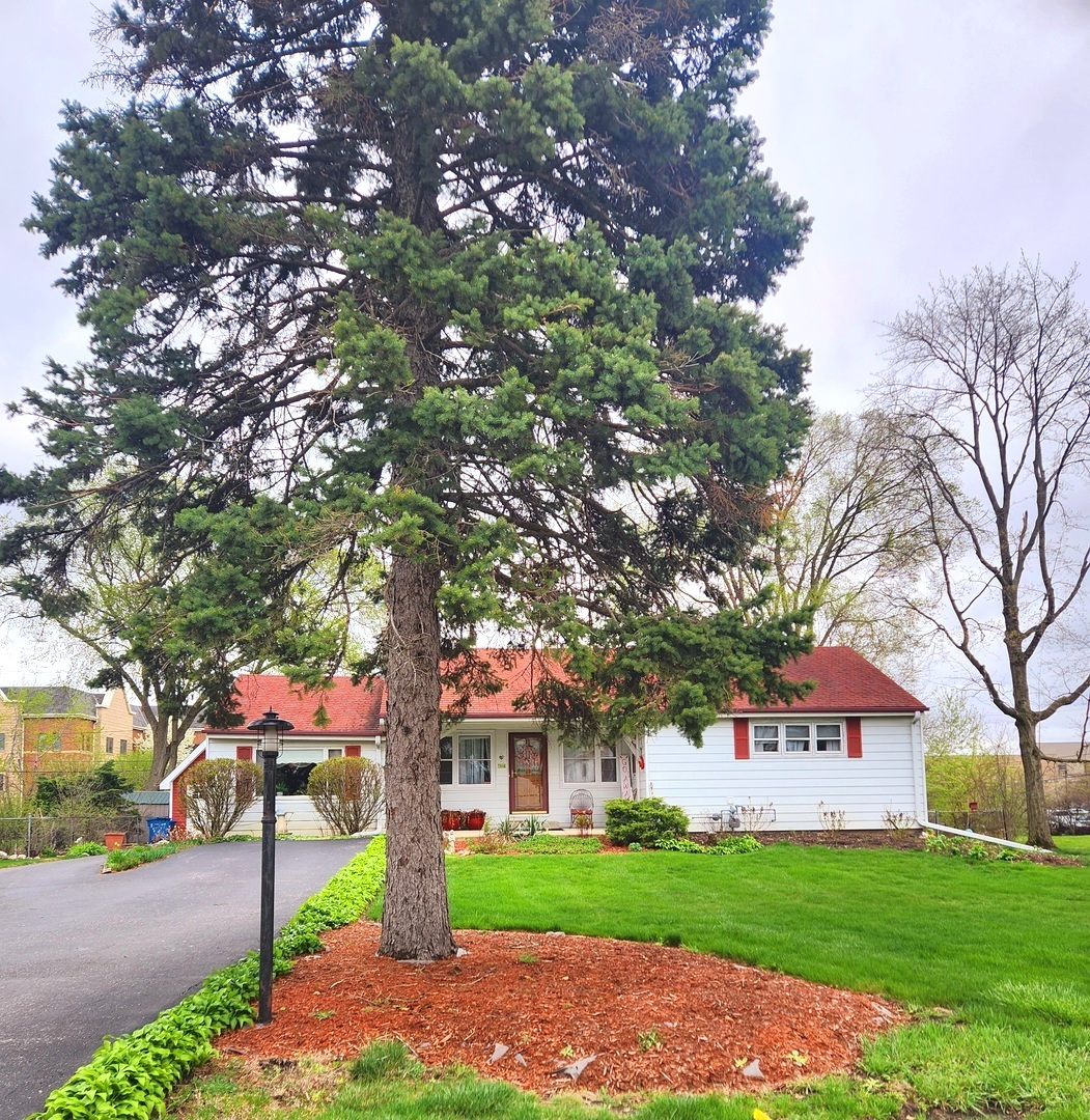 1095 South Prospect Avenue Elmhurst, IL 60126 - Photo 4 of 54 a front view of a house with a garden and tree