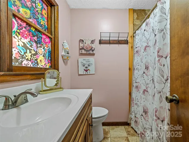 a bathroom with a sink mirror vanity and toilet