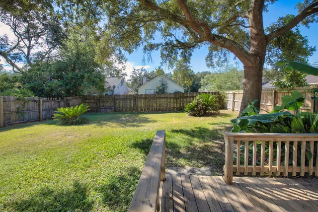a view of a yard with plants and large tree