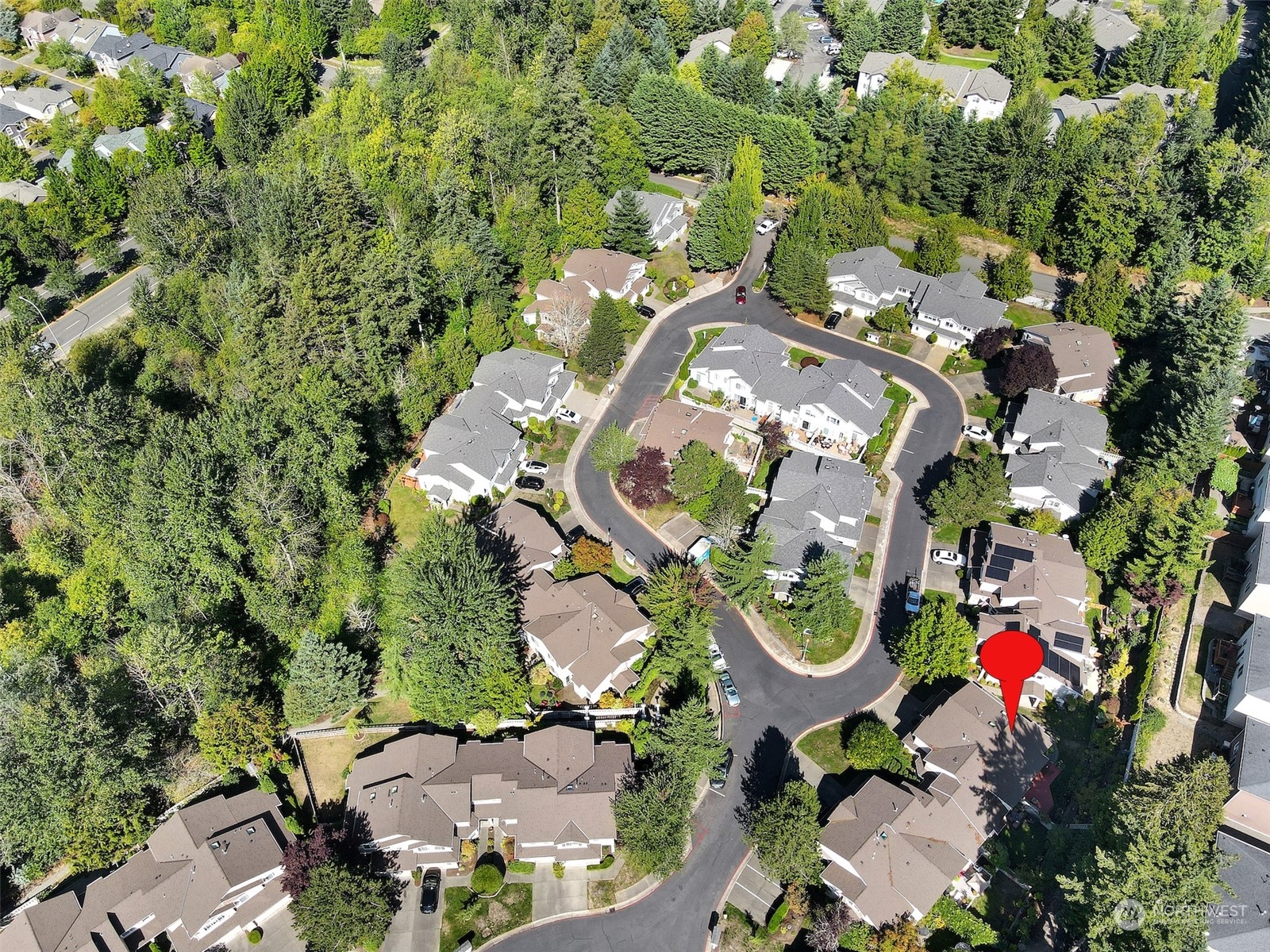 530 Elma Place Northeast Renton, WA 98059 - Photo 32 of 32 an aerial view of a house with a yard and large trees