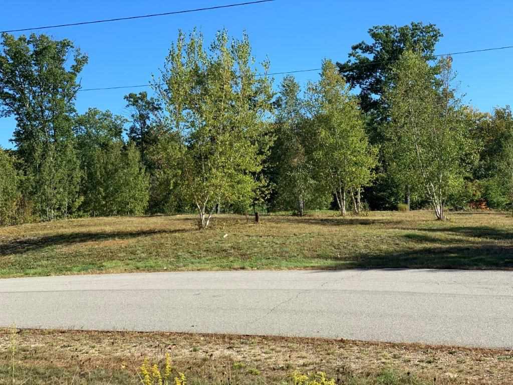18 Drew Farms Road Brookfield, NH 03872 - Photo 3 of 8