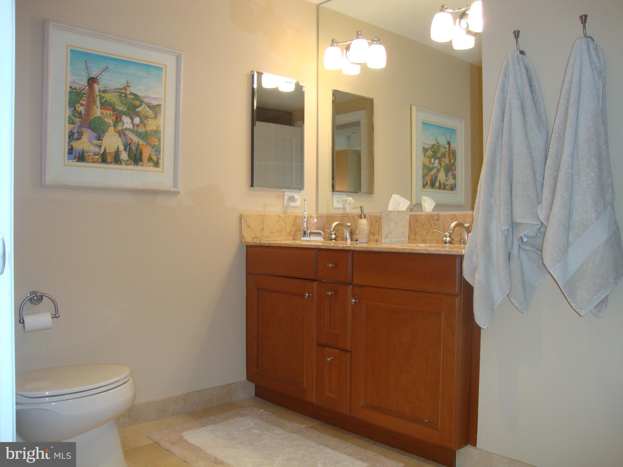 1701-15 Locust Street, Unit 1402 Philadelphia, PA 19103 - Photo 7 of 17 a bathroom with a toilet sink and mirror