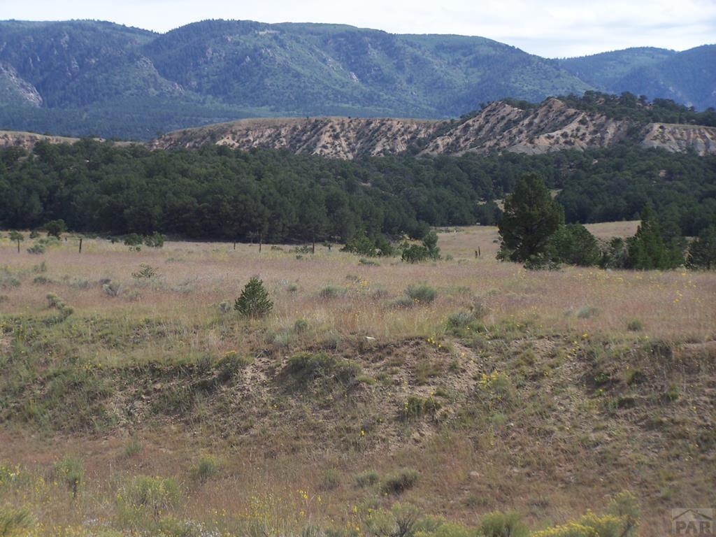 631 County Road Gardner, CO 81040 - Photo 1 of 1 Gallery Image 1