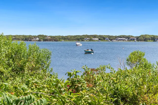 a view of a bench in a backyard