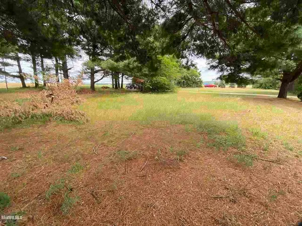 a view of yard with trees