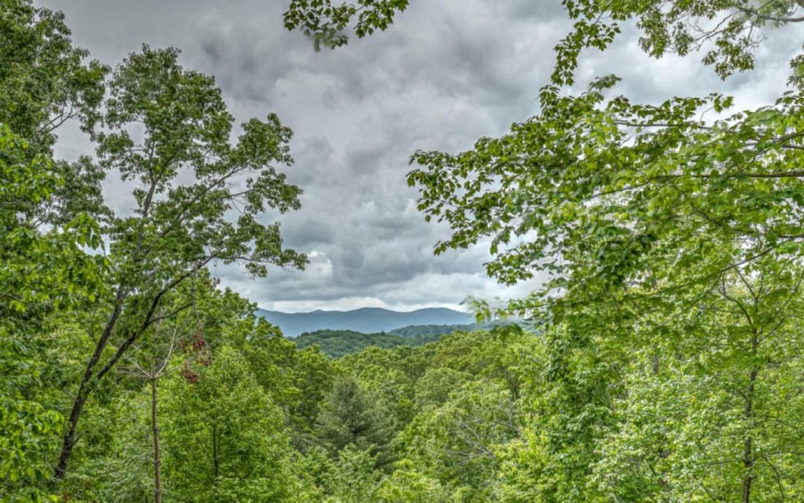 10 Oak Ridge Blue Ridge, GA 30513 - Photo 52 of 54 Additional View