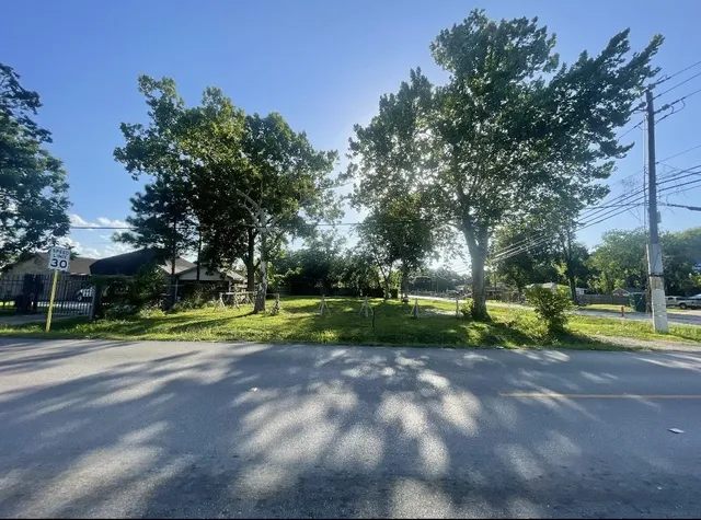 a view of park with trees