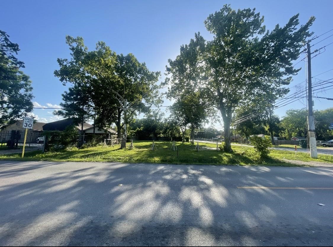 a view of park with trees