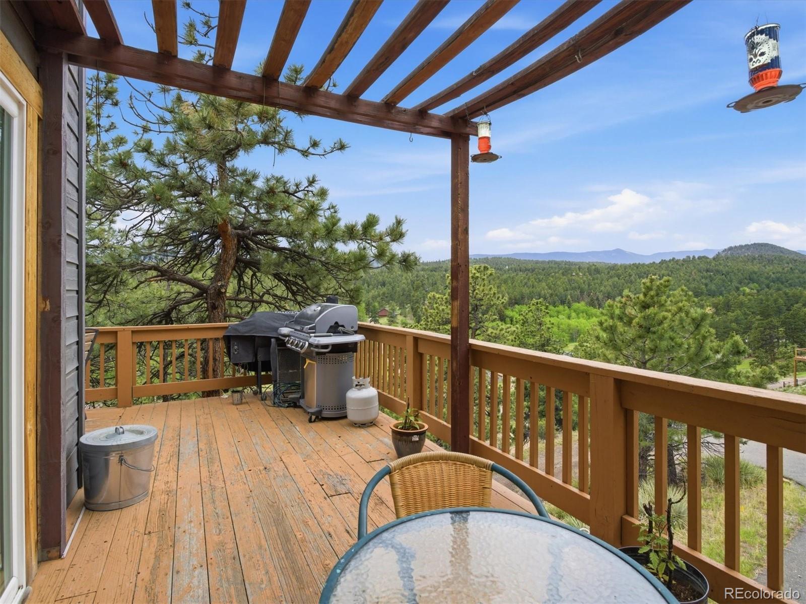 117 Spruce Trail Bailey, CO 80421 - Photo 31 of 47