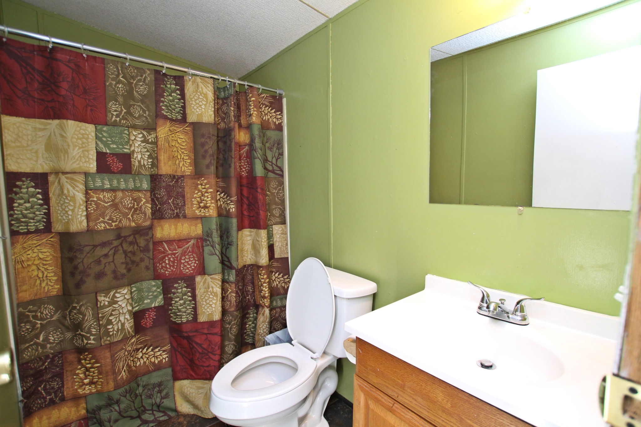 5652 Hopewell Road Springfield, TN 37172 - Photo 22 of 37 a bathroom with a sink a toilet and shower curtain