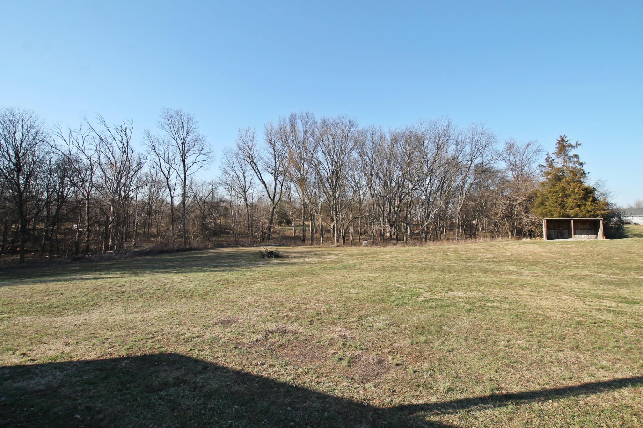 5652 Hopewell Road Springfield, TN 37172 - Photo 26 of 37 a view of a yard with an trees