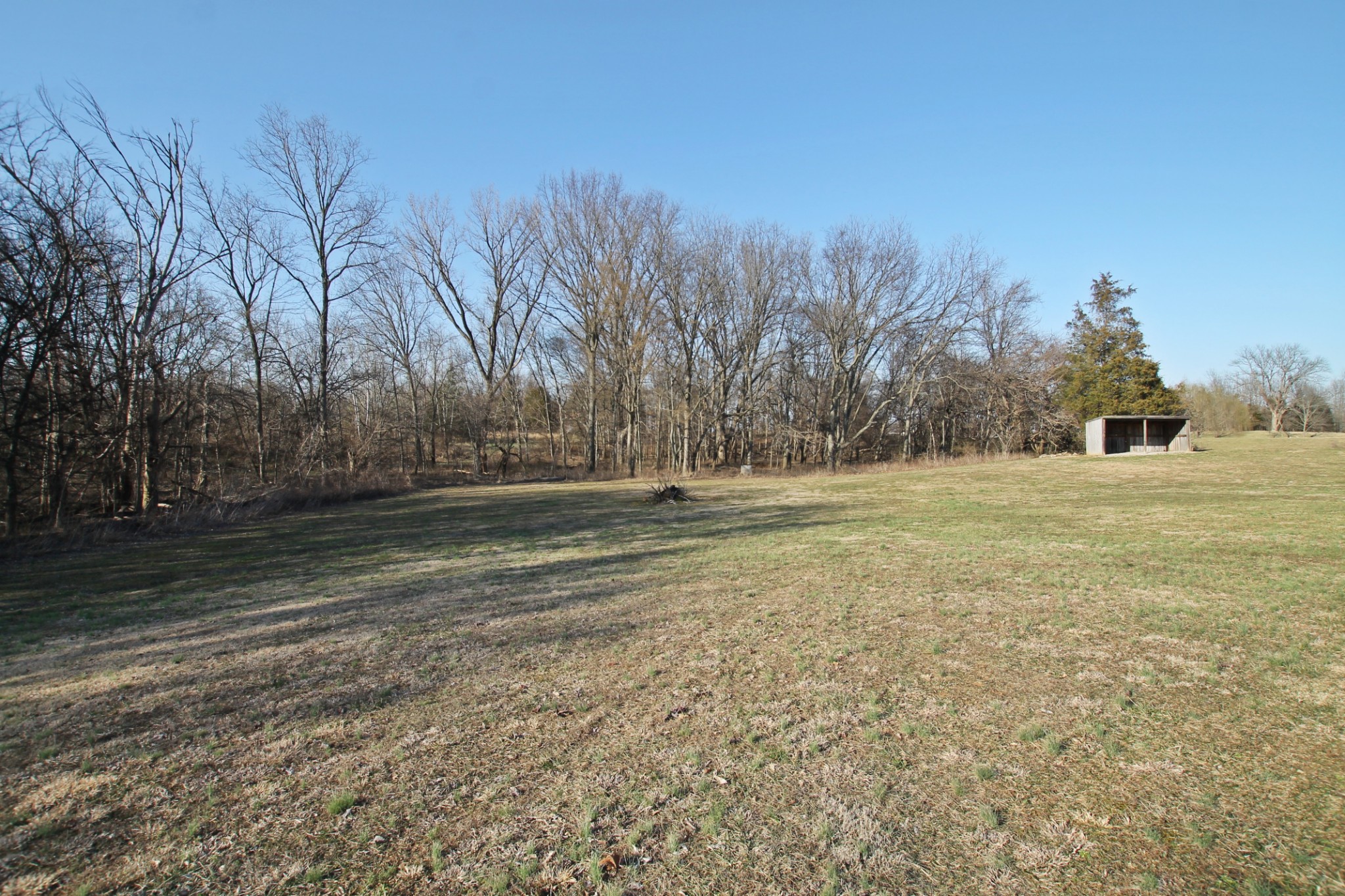 5652 Hopewell Road Springfield, TN 37172 - Photo 27 of 37 a view of dirt field with trees in the background