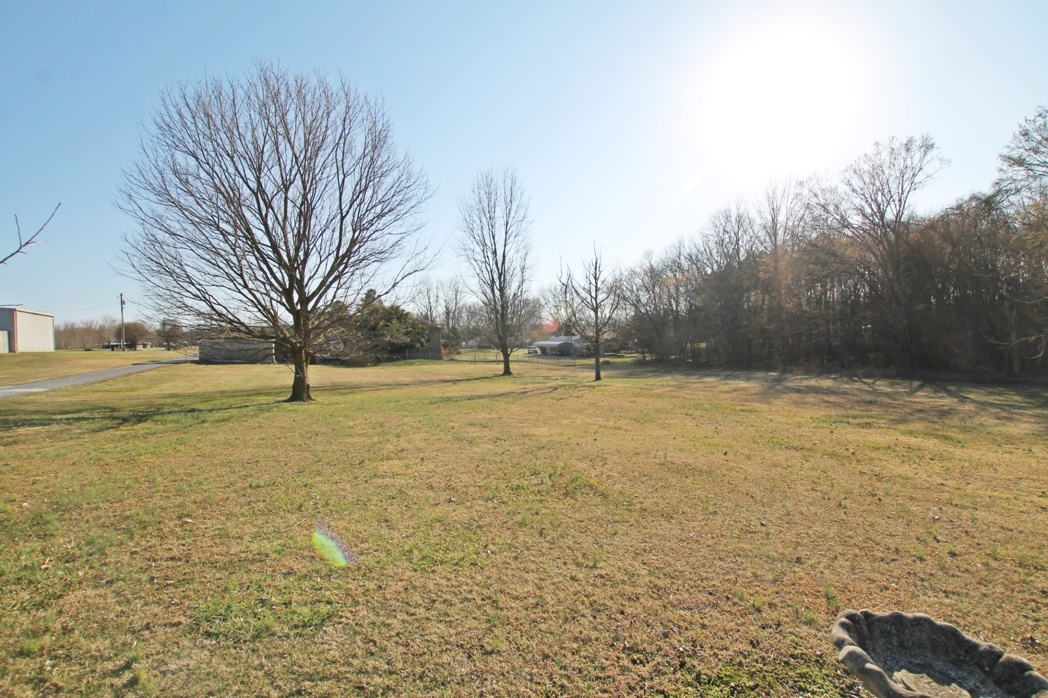 5652 Hopewell Road Springfield, TN 37172 - Photo 29 of 37 a view of outdoor space with trees