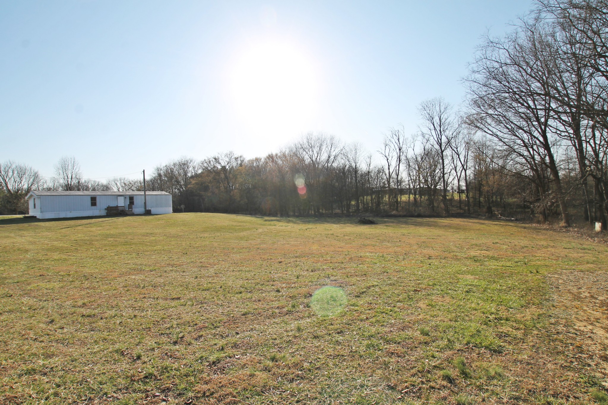 5652 Hopewell Road Springfield, TN 37172 - Photo 34 of 37 a view of yard with swimming pool and trees