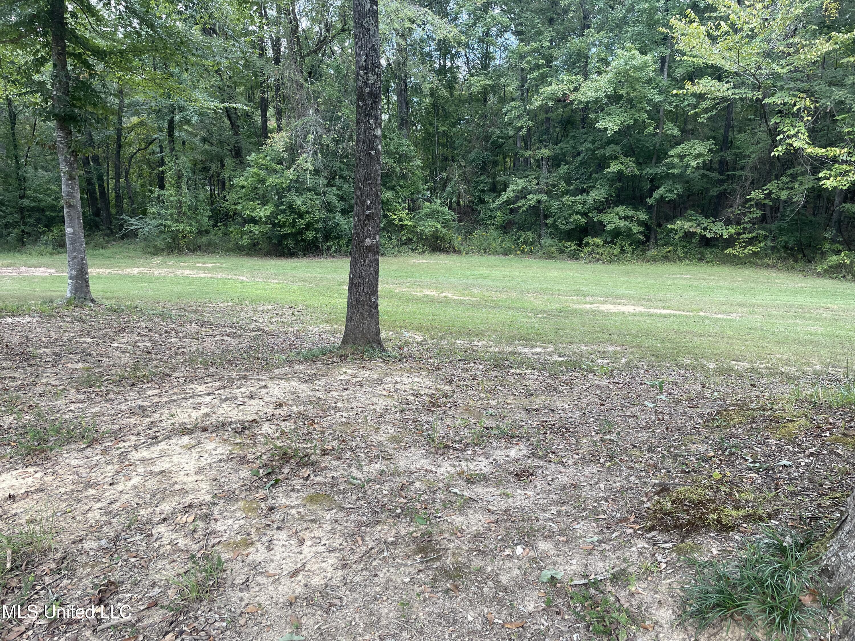 197 Andrews Road Florence, MS 39073 - Photo 22 of 26 IMG_9976