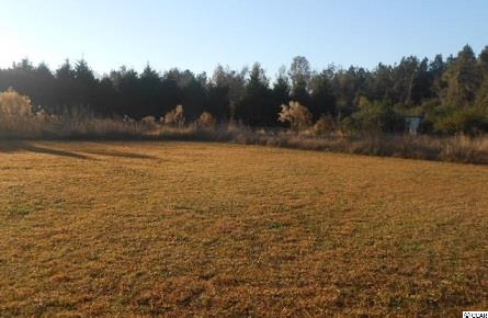 1344 Arbor Road Loris, SC 29569 - Photo 14 of 15 Gallery Image 14