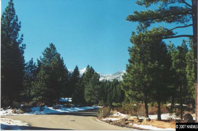 1330 Austrian Pine Road Reno, NV 89511 - Photo 2 of 3 Photo 2