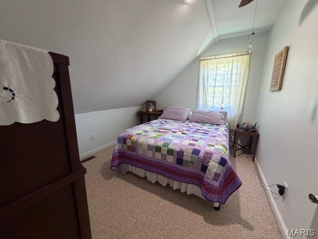 5539 Ripley Route East Doniphan, MO 63935 - Photo 15 of 28
