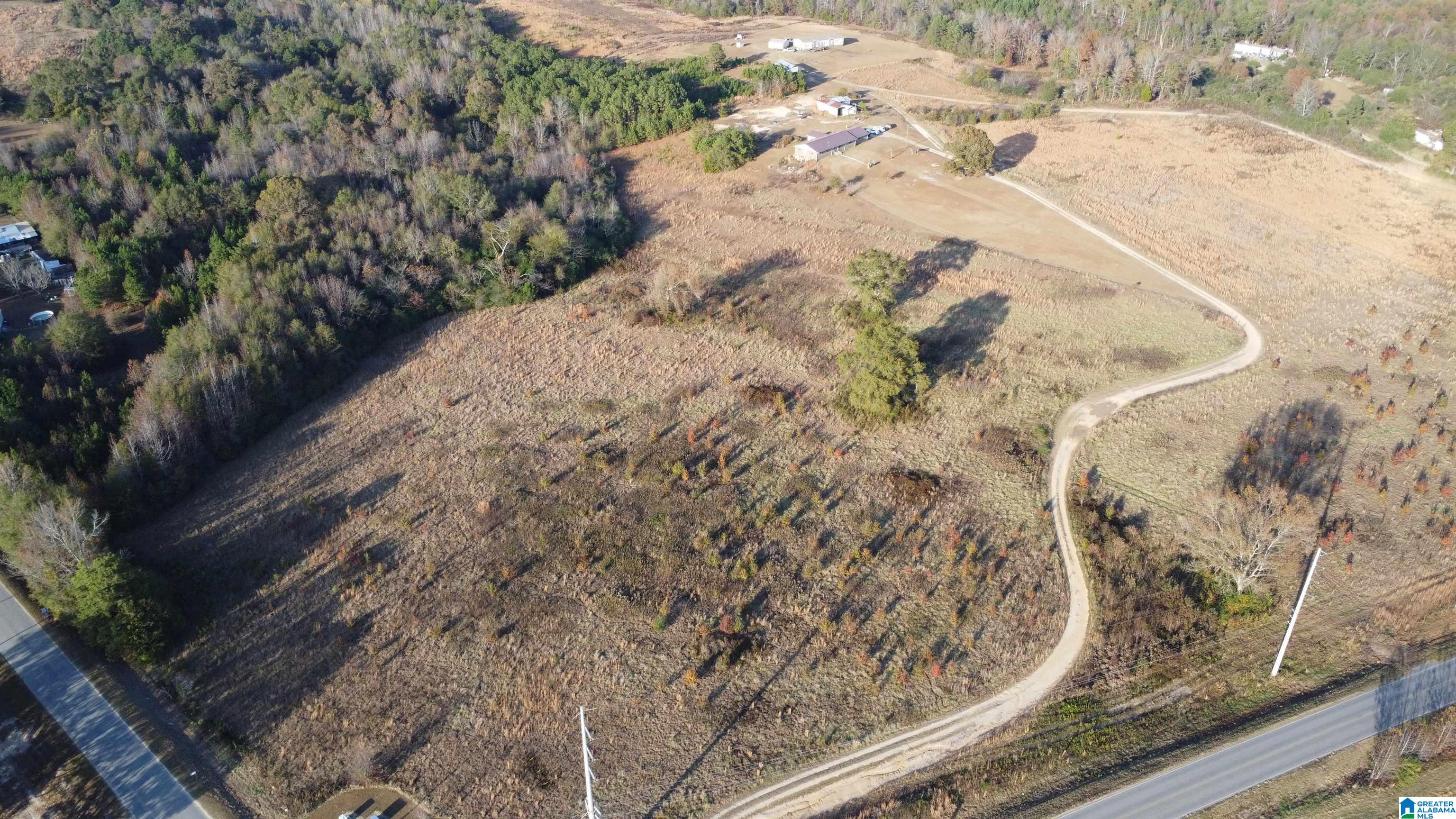 6951 County Road 24 Clanton, AL 35045 - Photo 9 of 13