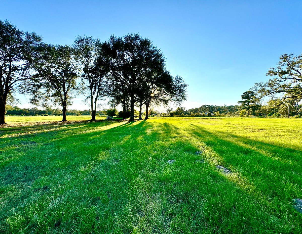 2 Hoke Road Richards, TX 77873 - Photo 20 of 31