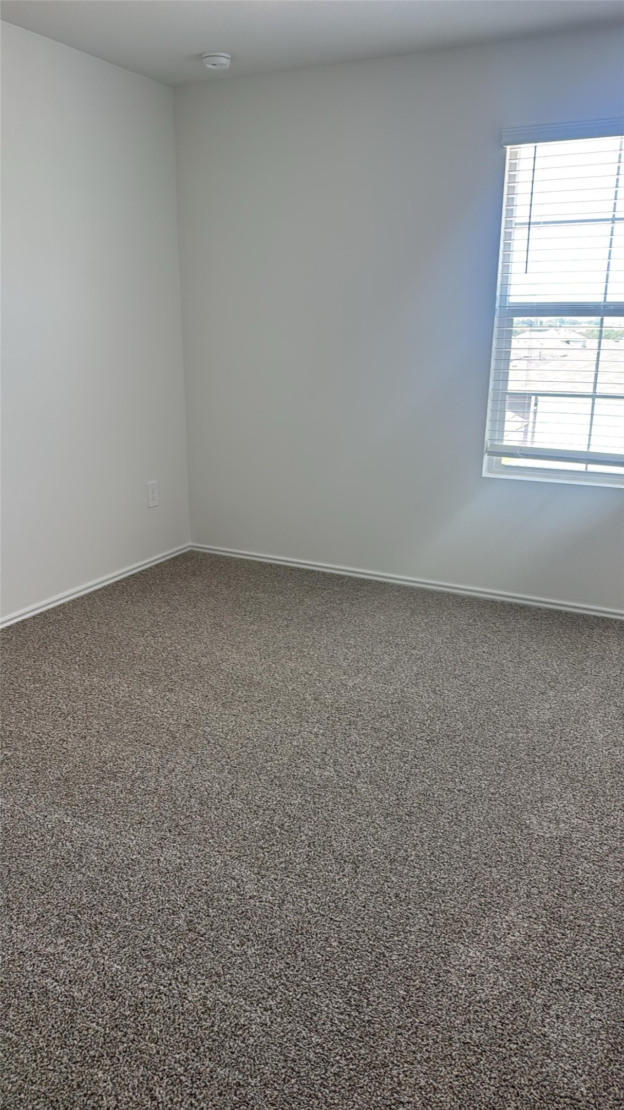 174 Balmorhea Street Kyle, TX 78640 - Photo 9 of 29 A well-lit bedroom provides a comfortable, private retreat with plush carpeting and natural light.