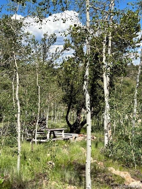 7512 Remington Road Como, CO 80432 - Photo 11 of 33