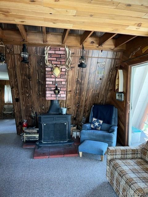 7512 Remington Road Como, CO 80432 - Photo 19 of 33