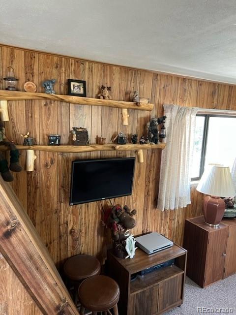 7512 Remington Road Como, CO 80432 - Photo 21 of 33