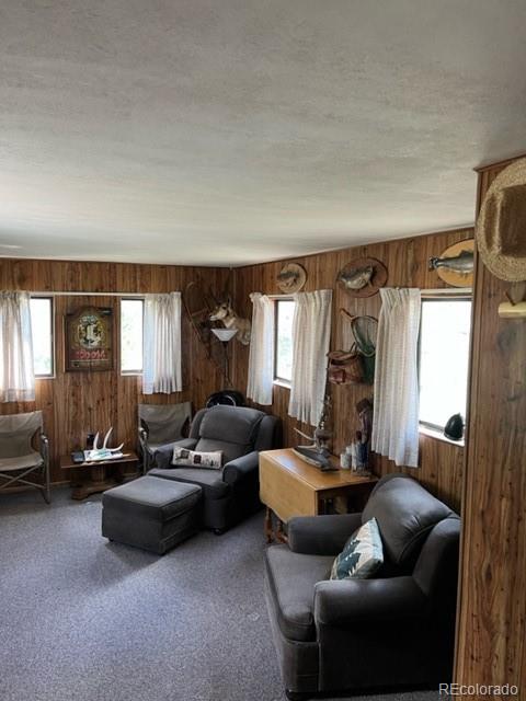 7512 Remington Road Como, CO 80432 - Photo 22 of 33
