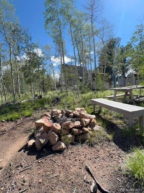 7512 Remington Road Como, CO 80432 - Photo 31 of 33