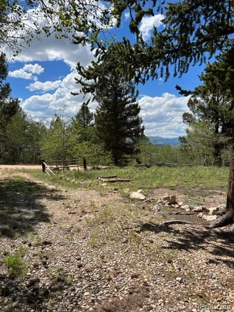 7512 Remington Road Como, CO 80432 - Photo 8 of 33