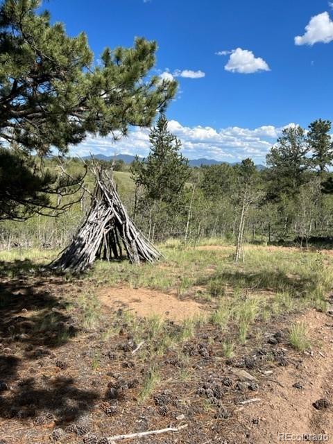 7512 Remington Road Como, CO 80432 - Photo 10 of 33