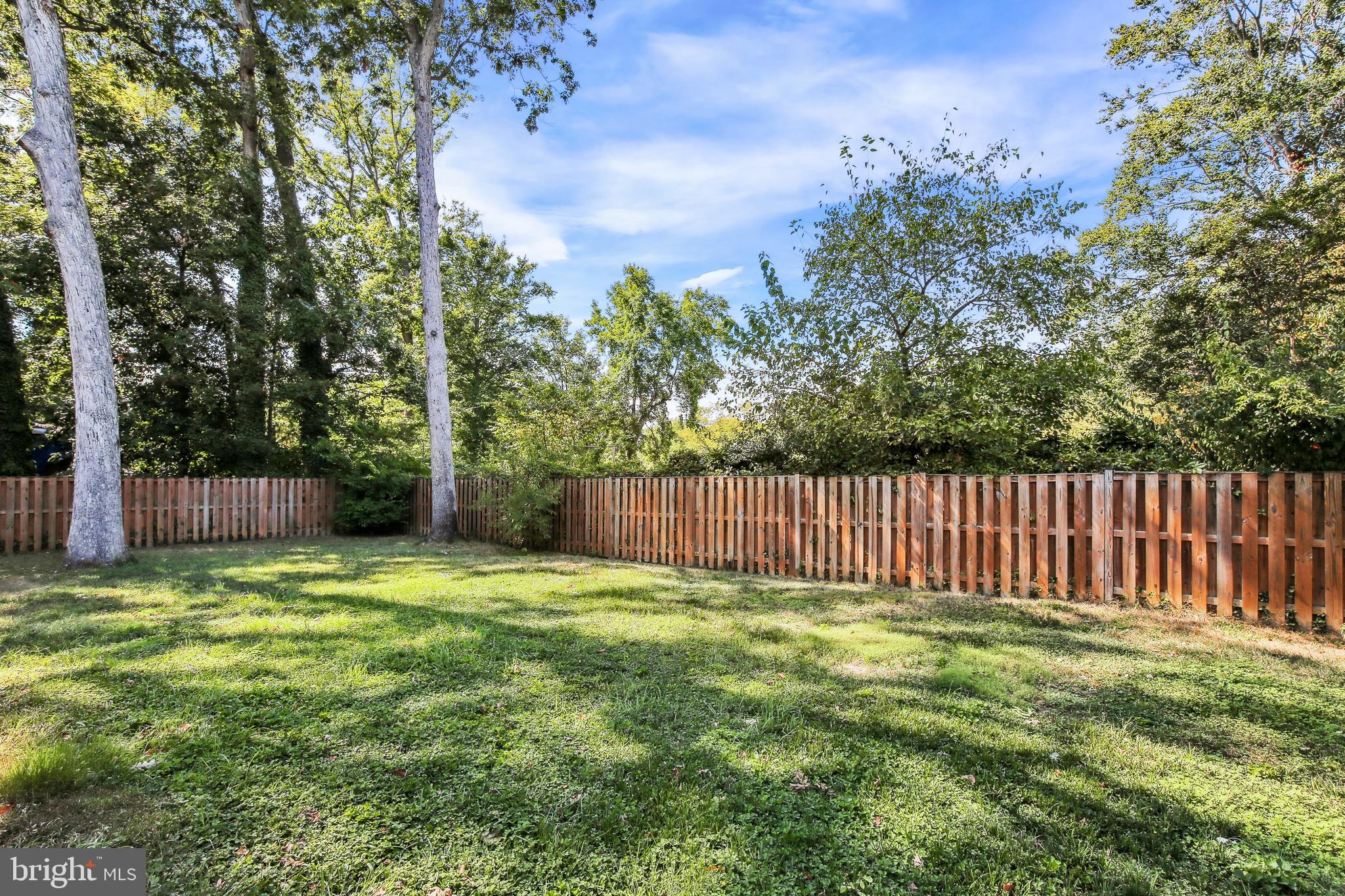 2104 Shenandoah Road Alexandria, VA 22308 - Photo 20 of 55