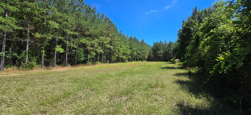 10 Mt Zion Road Gordon, AL 36343 - Photo 2 of 28