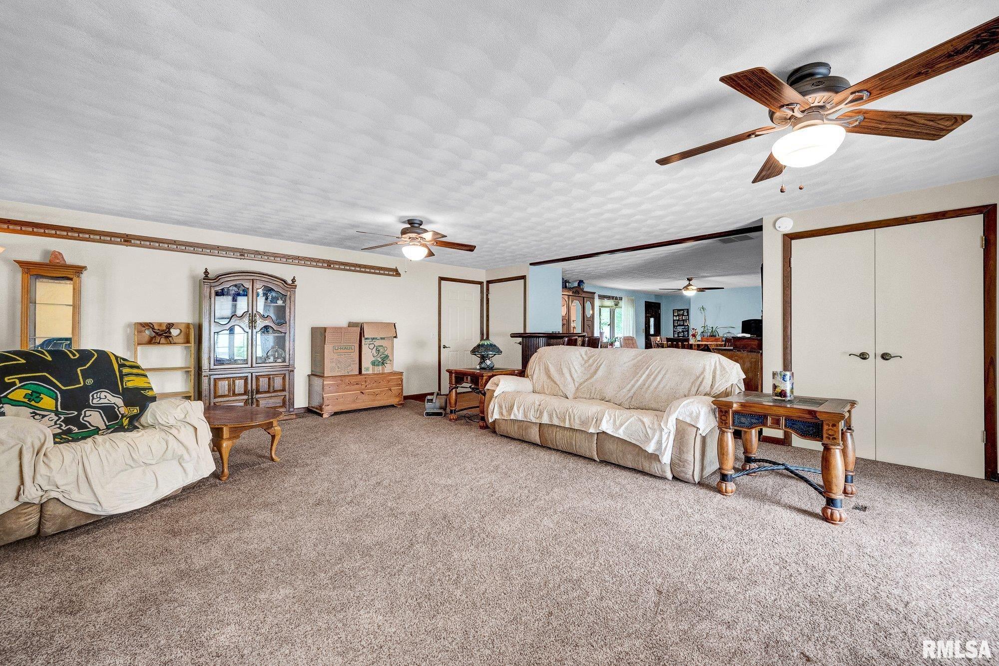 503 South Walnut Street Delavan, IL 61734 - Photo 7 of 40
