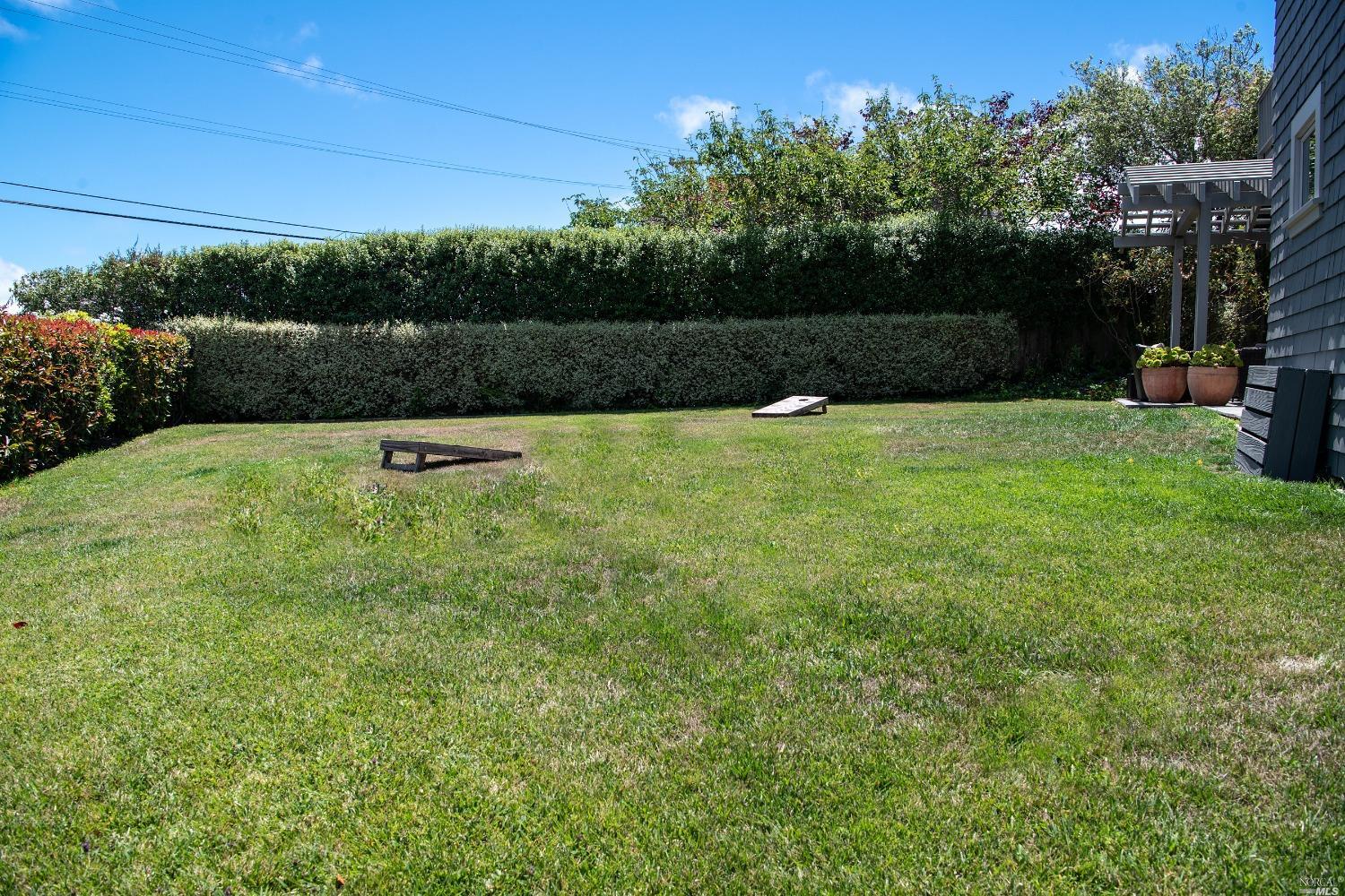 208 Reed Boulevard Mill Valley, CA 94941 - Photo 12 of 47 Tons of room to run and play!!