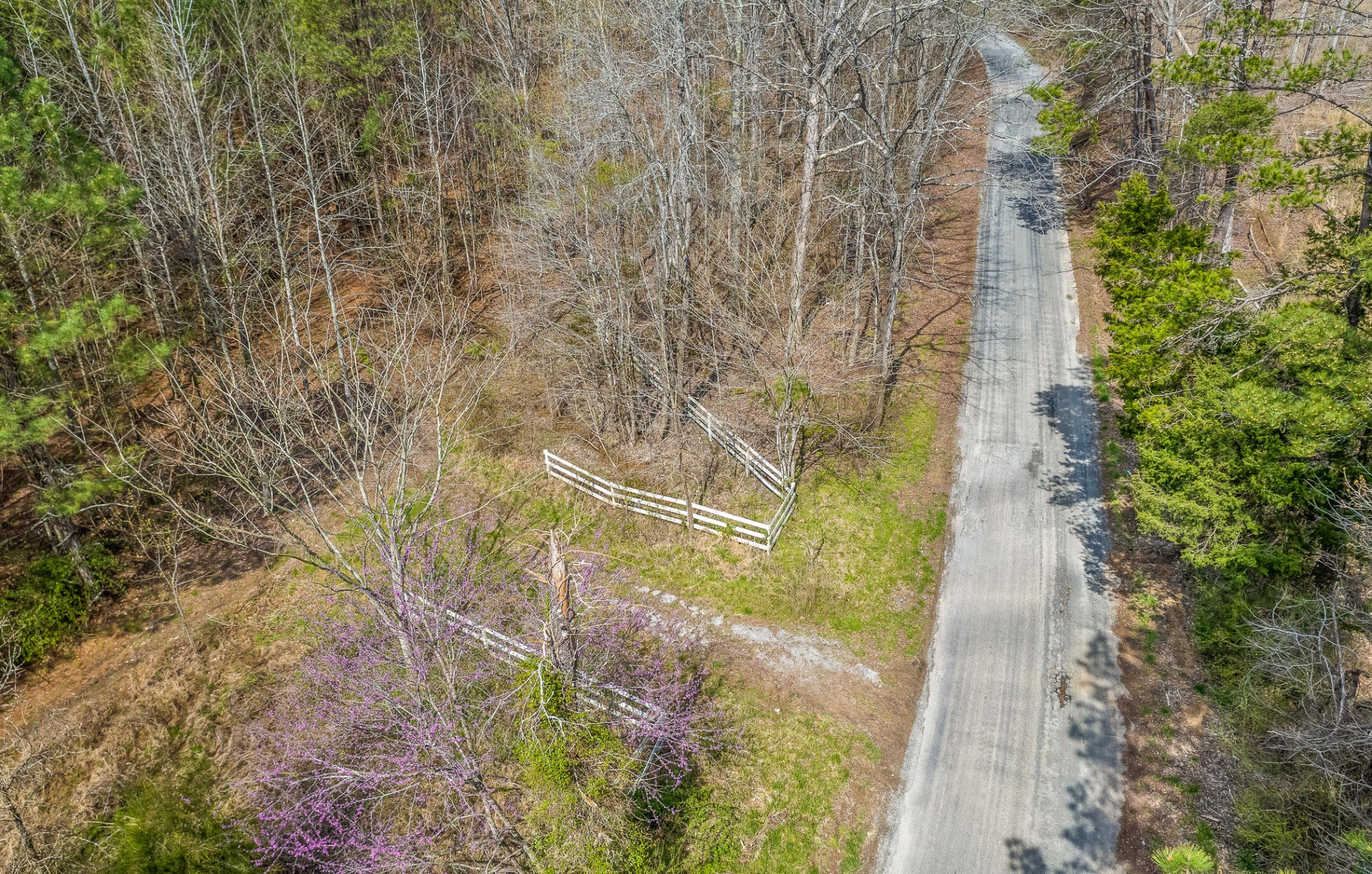 2041 Plank Road Decatur, TN 37322 - Photo 9 of 36 Gallery Image 9
